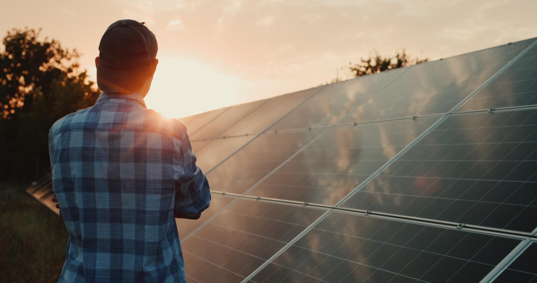 Owner looks at solar power plant panels at sunset.